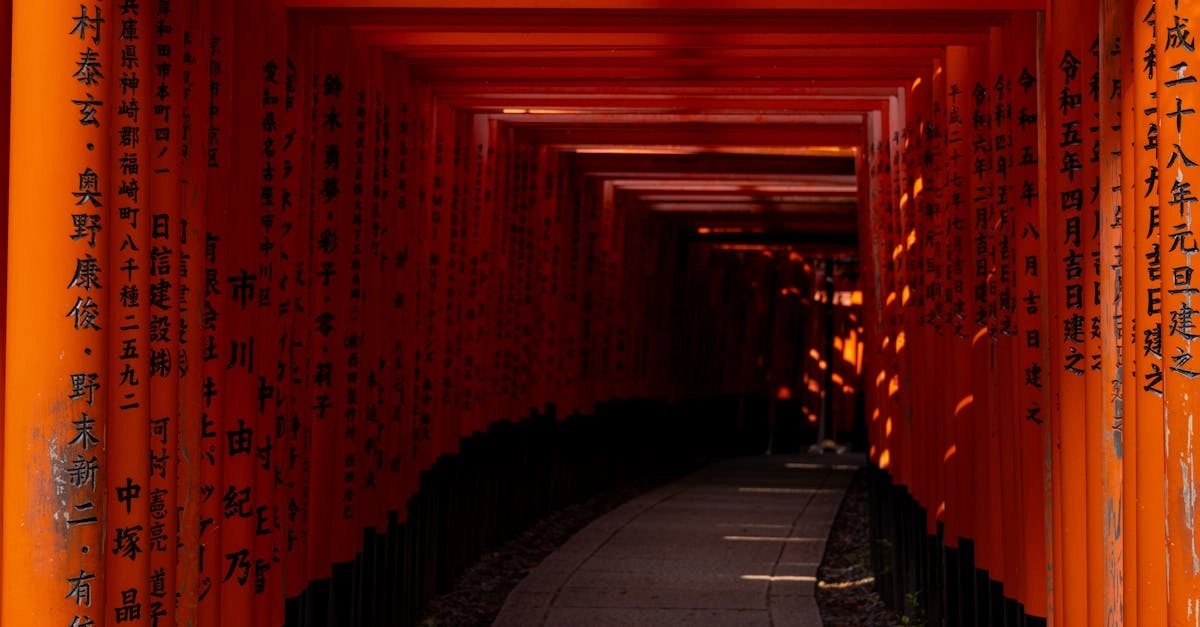 Профессиональный анализ слота Gates of Olympus - техническое изучение